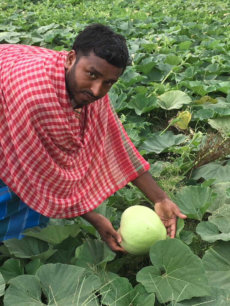 AMS farmer