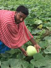 AMS farmer