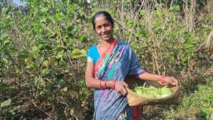 Kuntala