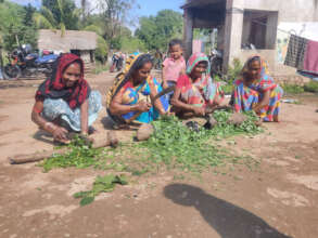 Making bio-fertilisers and pesticides