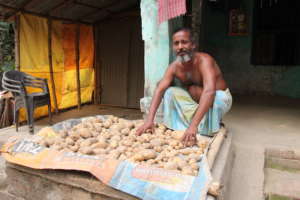 AMS farmer with potato harvest ready for market
