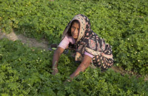 Woman AMS farmer