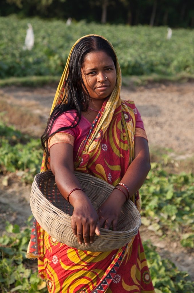 Teaching farming to over 1,000 families in India
