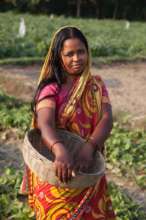 AMS farmer at harvest time