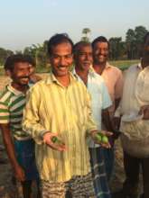 AMS farmer growing bitter gourd