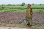 Teaching farming to over 1,000 families in India