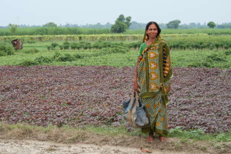 Teaching farming to over 1,000 families in India