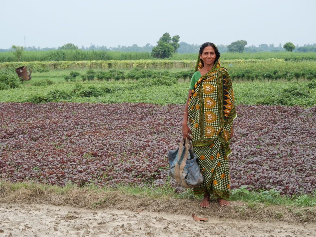 Teaching farming to over 1,000 families in India