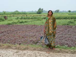 Teaching farming to over 1,000 families in India
