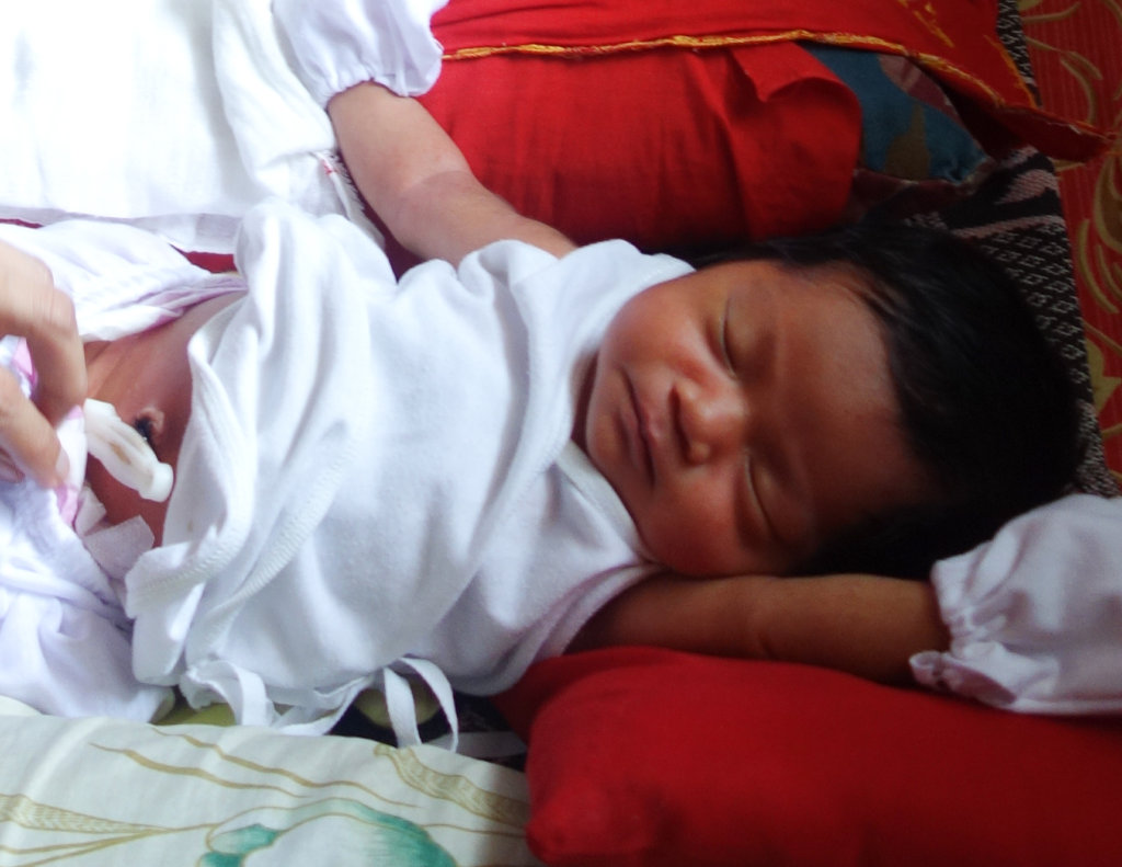 Healthy Ladies, Healthy Babies Project