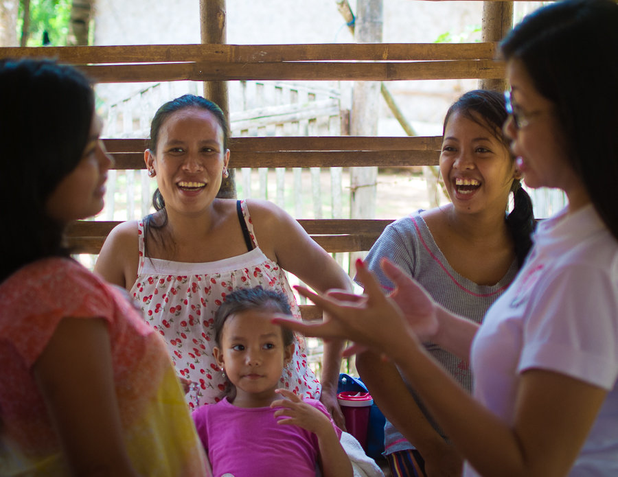 Healthy Ladies, Healthy Babies Project