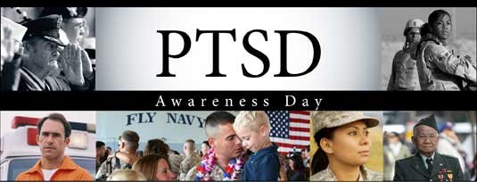 Psychosocial Support for Veterans Living with PTSD