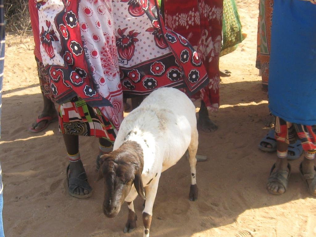 Protecting Umoja: A Village of Women