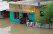 Survival Relief package for Chennai flood families