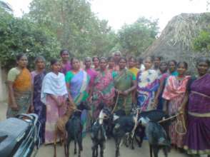 Group of Women helped by goat rearing project