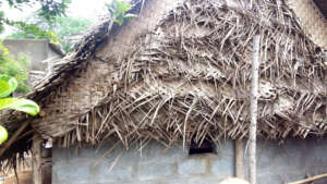 Thatched leaves housing done by us