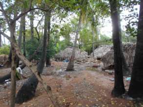 Many homes destroyed