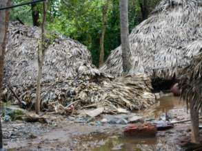 Homes need to be rebuilt