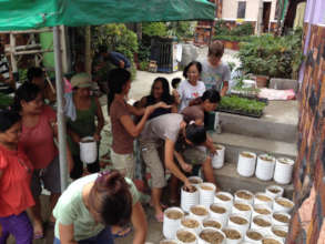 Seedling distribution - 2016 Urban Garden Project