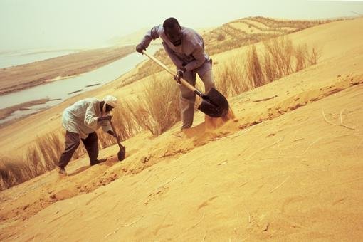 Building a Women's Center in Nebkit, Mali