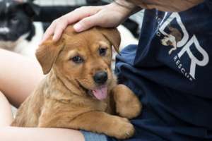 Who will be lucky enough to take Debra home?
