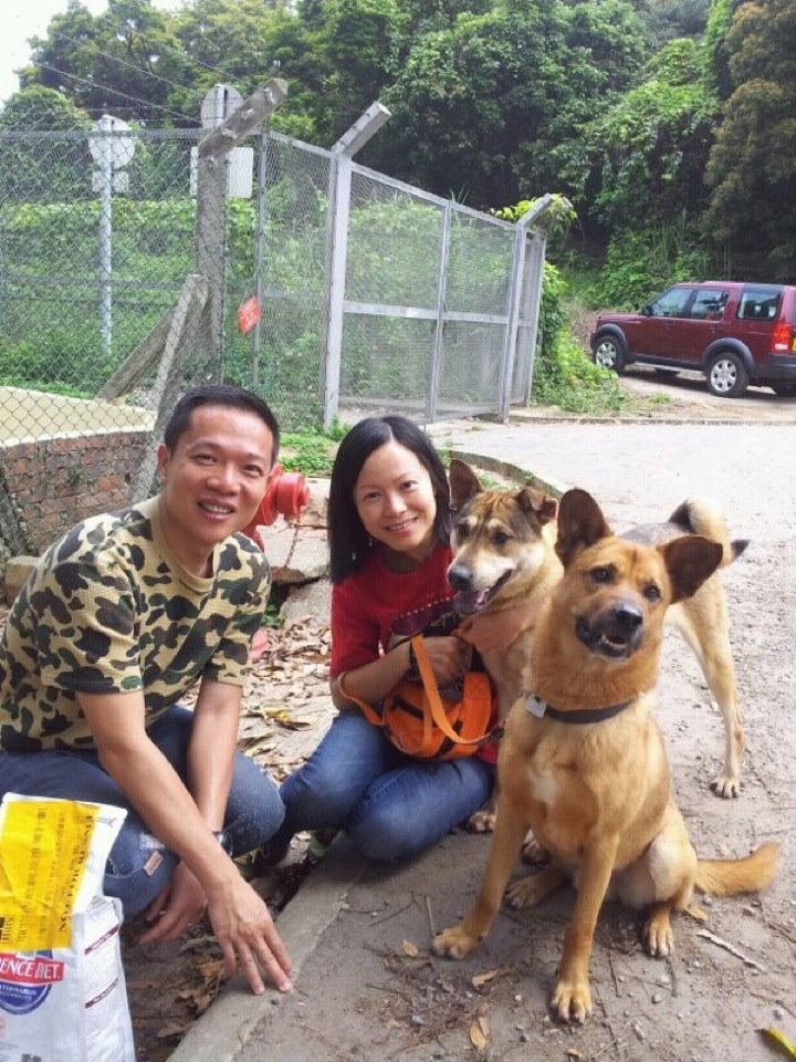 Rescuing and rehoming abandoned dogs in Hong Kong