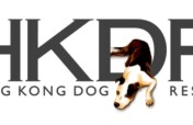 Rescuing and rehoming abandoned dogs in Hong Kong