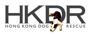 Rescuing and rehoming abandoned dogs in Hong Kong