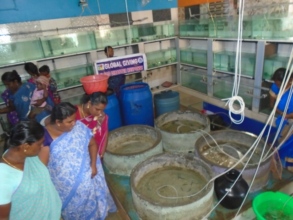 BENEFICIARIES OBSERVING BROODER TANK
