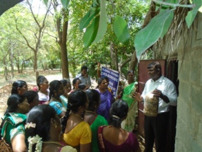 MUSHROOM SEEDS PACKED IN HAY POCKET
