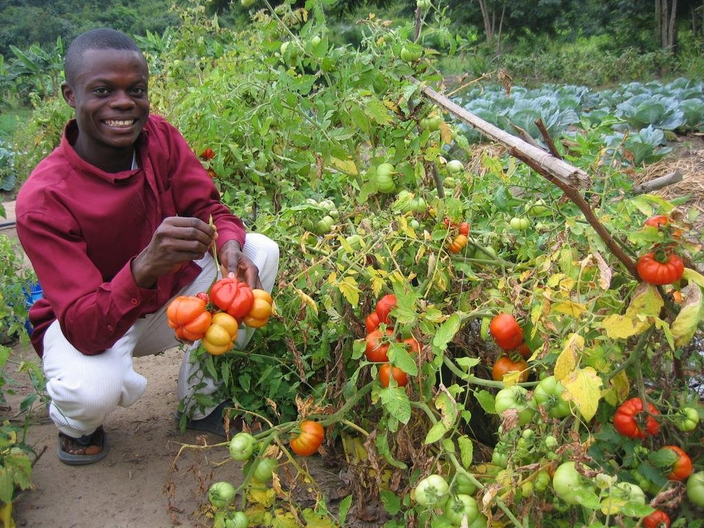 Connect young people fighting hunger