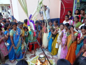 Pongal festival celebration