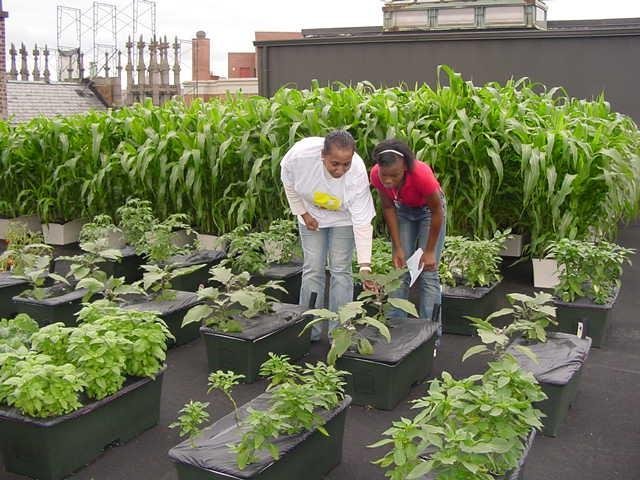 Int'l Teacher Training on Agriculture - Mexico