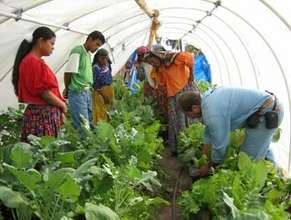 Int'l Teacher Training on Agriculture - Mexico