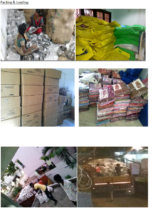 Packing & Loading