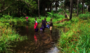 Children fetching water