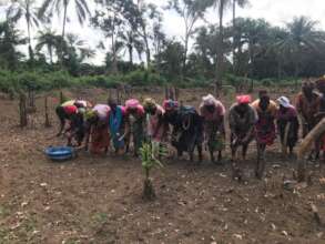 A new market garden