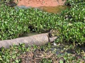 61-year-old Ngoun gathers water by the bucket