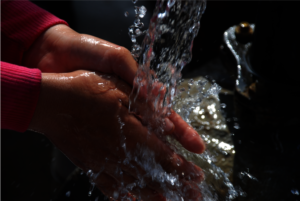 Clean water close at hand!