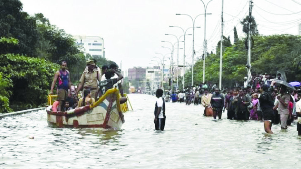 Urgent rebuilding - 2500 Chennai flood survivors