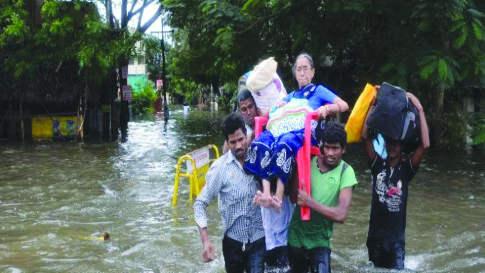 Urgent rebuilding - 2500 Chennai flood survivors