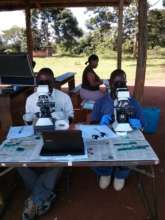 Testing faecal samples