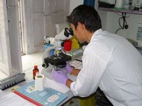 Laboratory services
