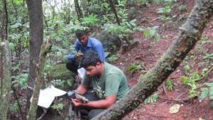 Setting up camera trap1