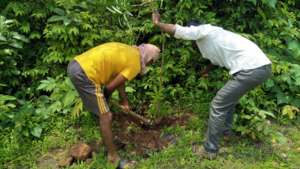 Preventive measure increase Plant Survival chances