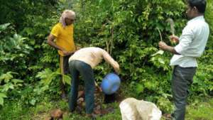 Removal of weed with villagers support