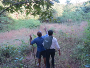 Survey of private forest with locals