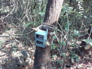 Use of camera traps to document the wildlife