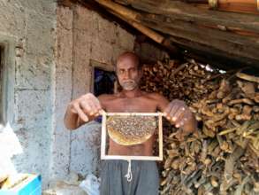 Beekeeping Training to Locals