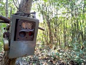 Camera Trap